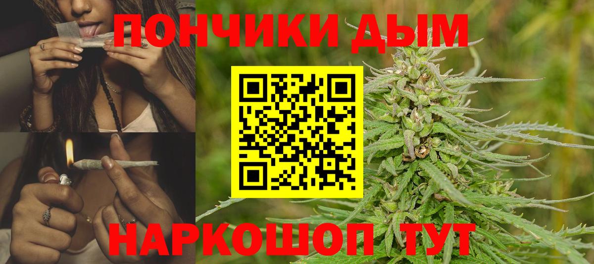 Конопля планчик Малгобек